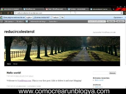 como montar un blog 3.avi