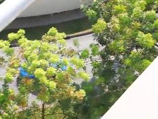 Vue depuis l'appartement