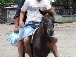 Life pauses on rumbling Philippine volcano island