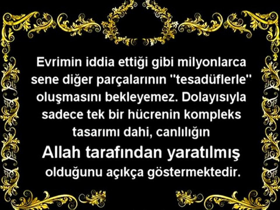 Evrim Teorisinin Çöküşü - 1