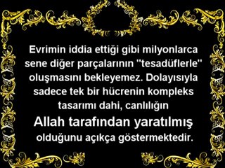 Evrim Teorisinin Çöküşü - 1