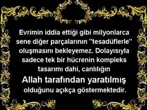 Evrim Teorisinin Çöküşü - 1