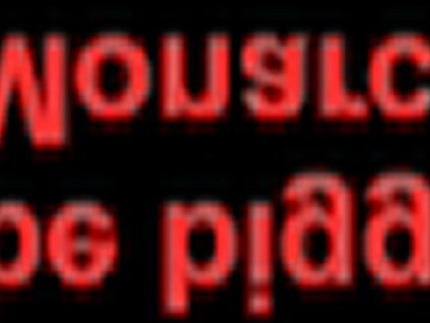 chicago il internet marketing services