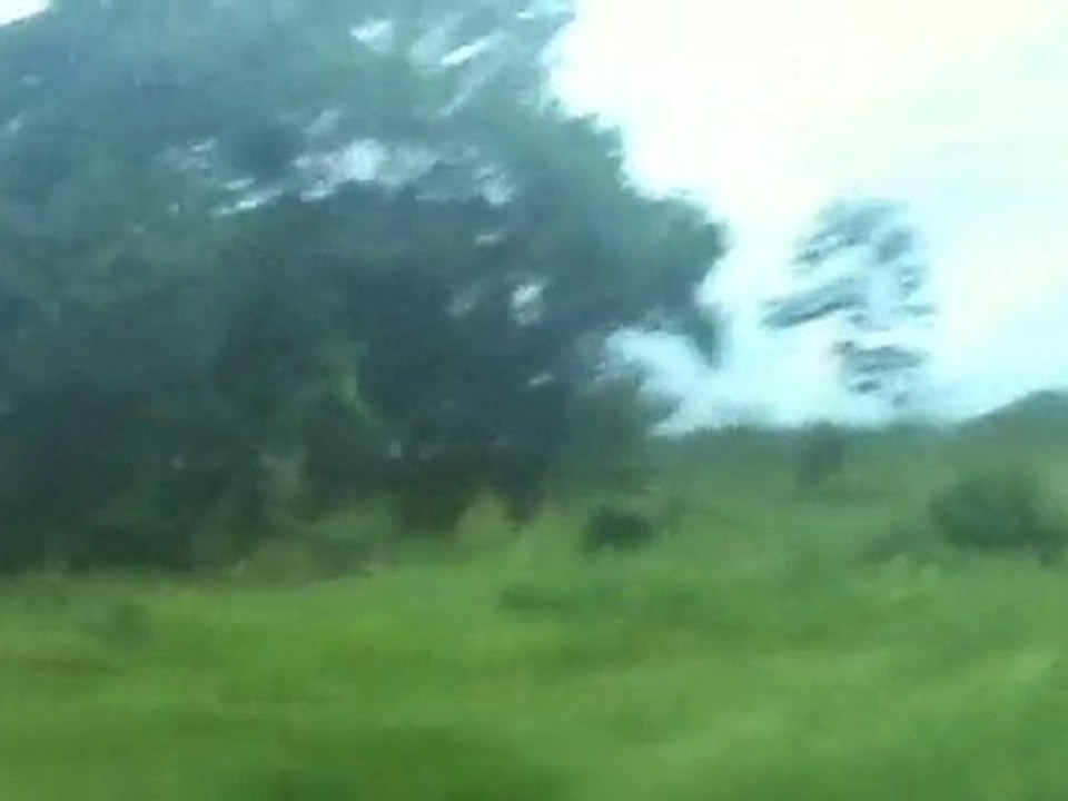 Guyane Retour