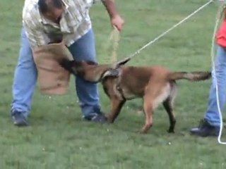 Fripouille 5 mois jambière