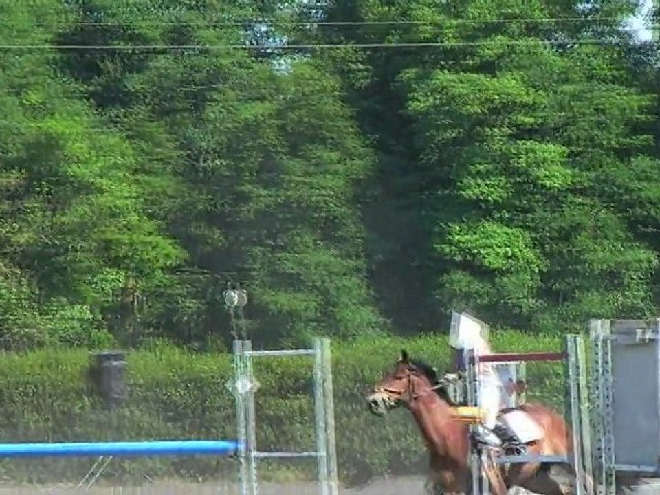 Armanis gucci club elite 1,10 m 08/05/2011 saint dizier