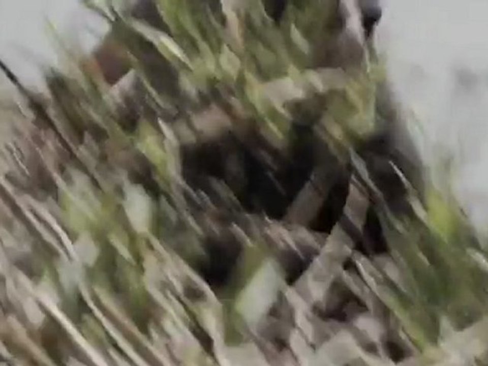 Caterpillar (2011)  International Trailer