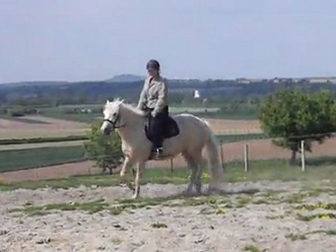 4 mai 2011 premiers cercles au trot