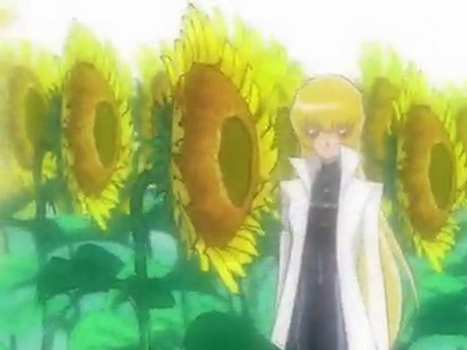 [Amv Heartcatch Pretty Cure] Super Infinity [HD]