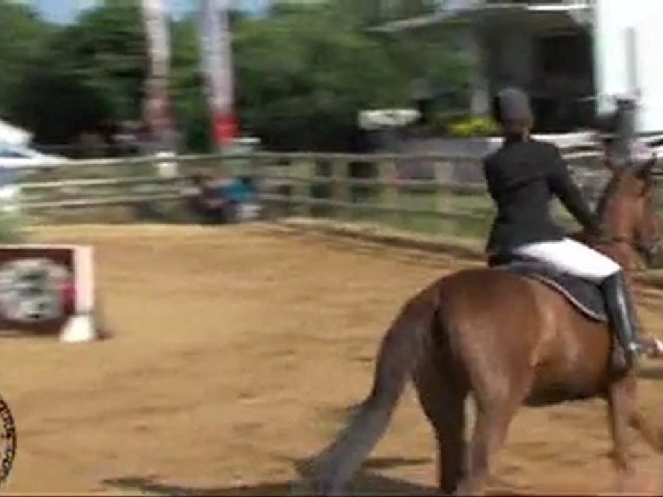 Equitation : Championnat de Vendée de Saut d'Obstacles 2011