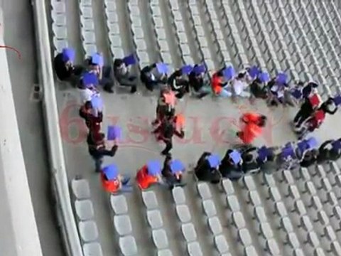 Boz Baykuşlar - PING PONG