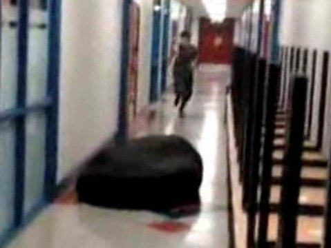 Hai fallito in pieno