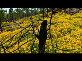 Via Láctea de Terje Sørgjerd