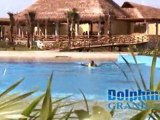Swim with Dolphins in Riviera Maya - Cancun - Tulum - Cozumel