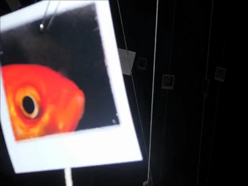 ON - Les poissons rouges