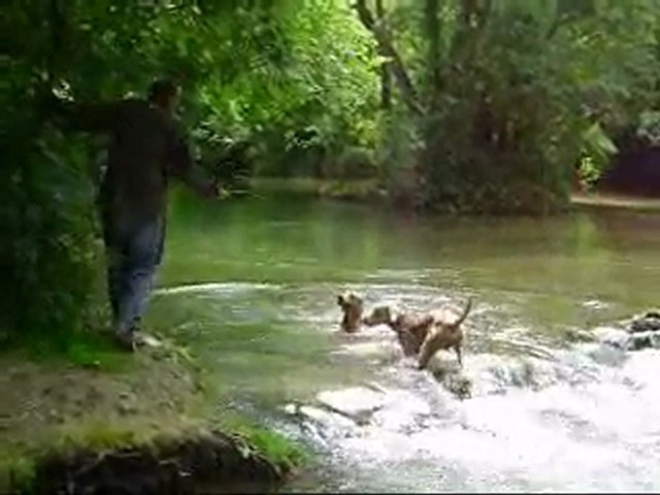 Baignade en Charente
