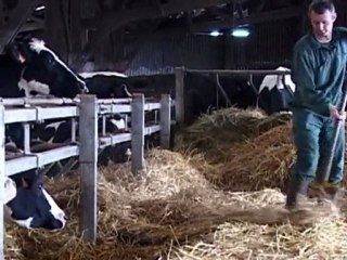Le Journal vidéo du mardi 10 mai 2011, édition de 18H00