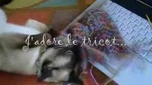 naomi_et_tricot