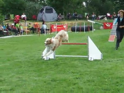 Maybe Open + Sélectif GPF 2011