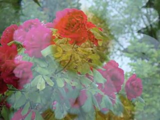 Ömrümüzün son demi "Müzeyyen Senar"