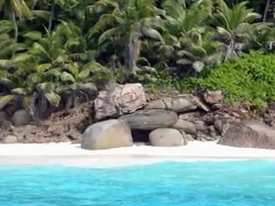 Exklusiv: Königliche Flitterwochen