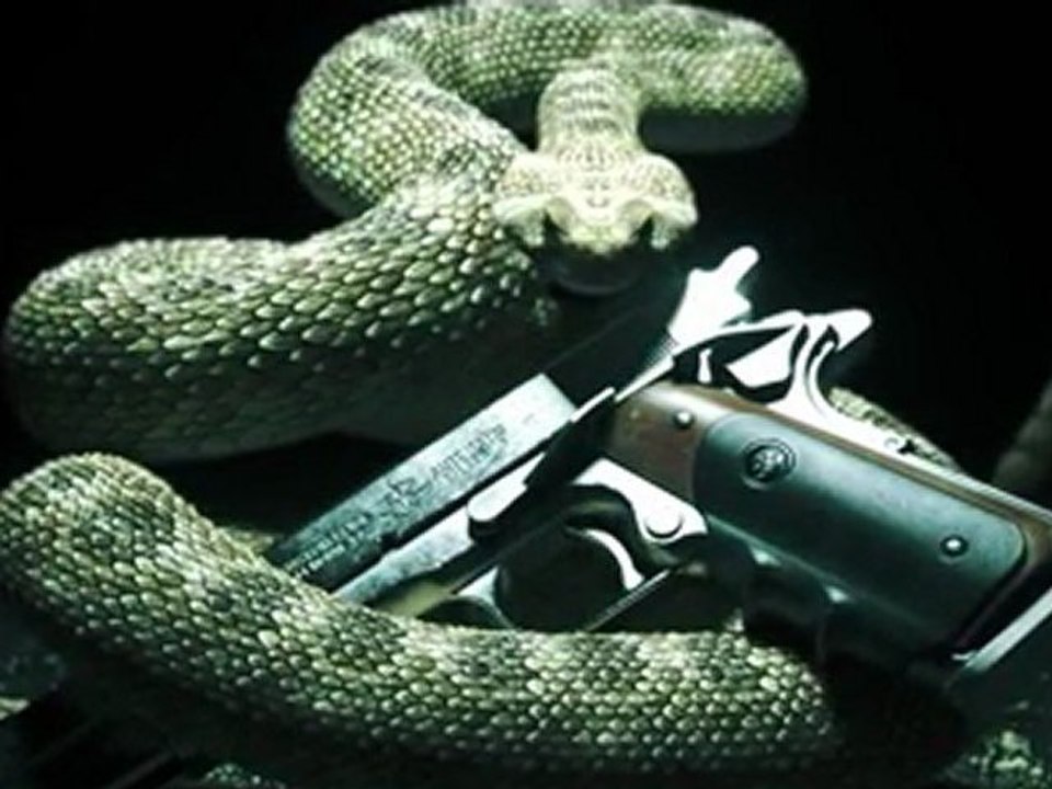 Hitman Absolution Teaser Video