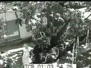 Cheating Bride Caught on Camera