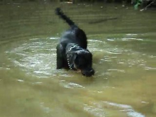 10 mai 2011 a la vareze 013