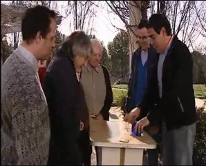 Donde esta la bolita