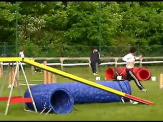 agility st brieuc exposition Sylvie et Anouk 8 mai 2011