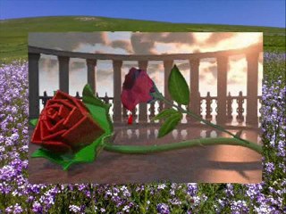 GÜZEL  ARDAHAN @ MEHMET ALİ ARSLAN Videos