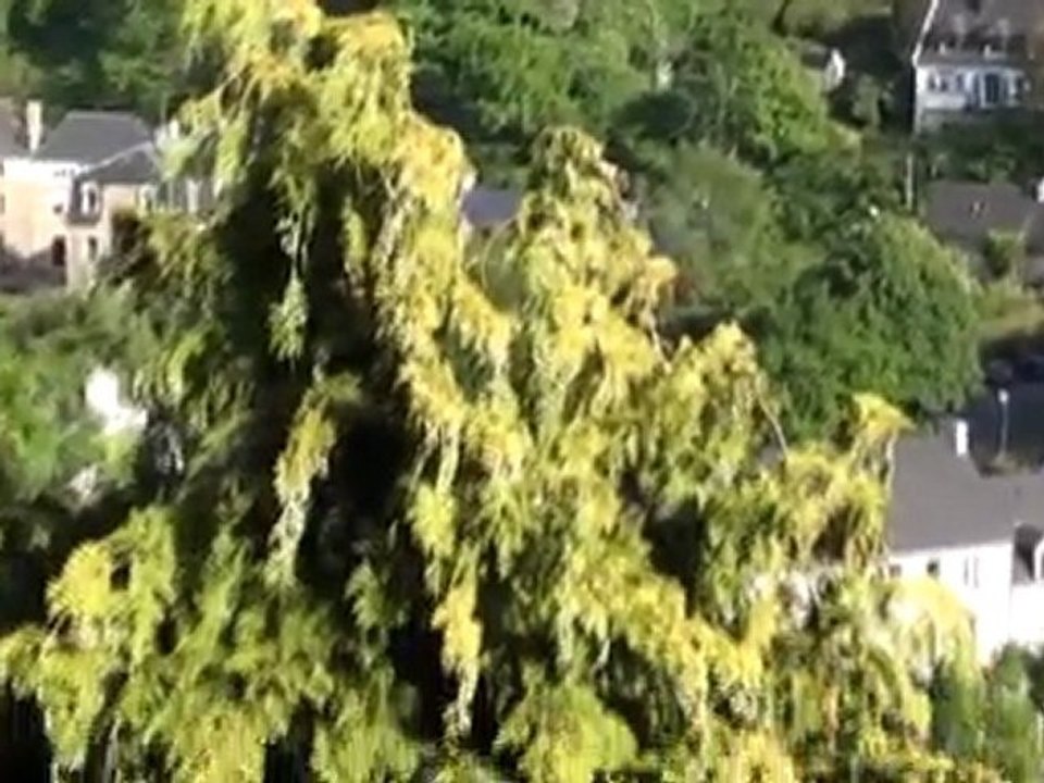 ville de Lannion (22)