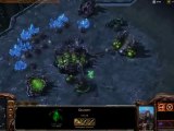 Starcraft 2 Zerg build