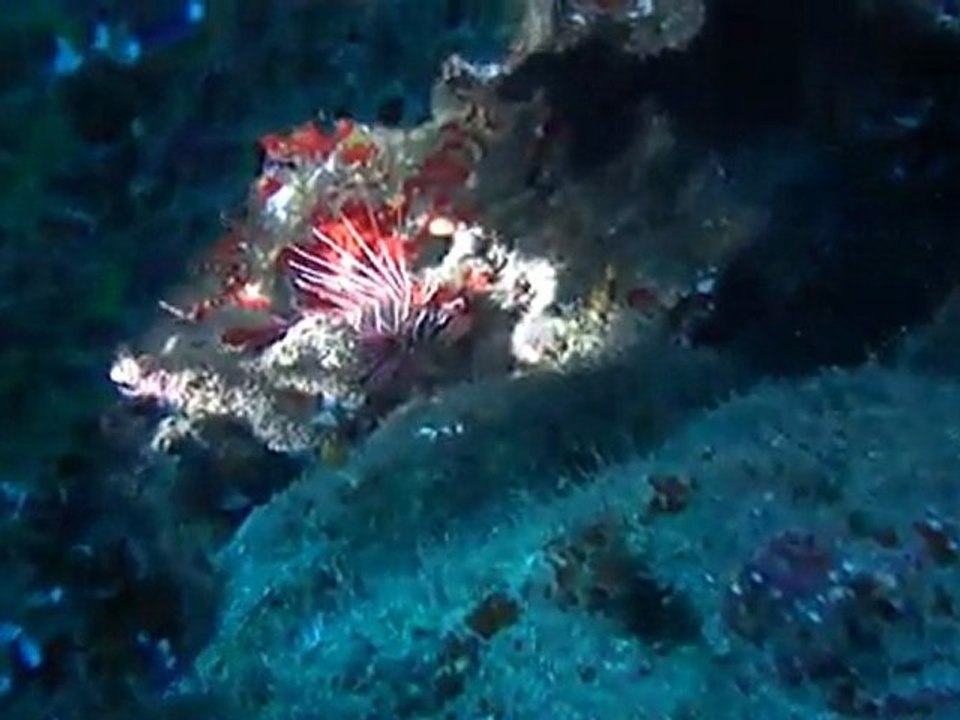 M4H02263.MP4