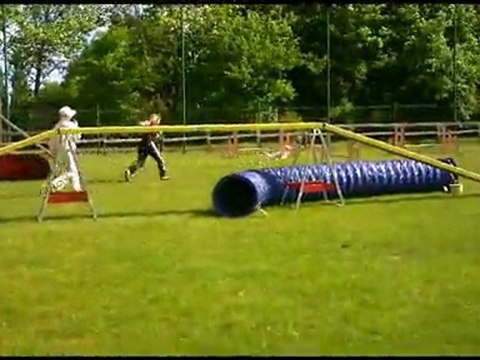 Agility St Brieuc exposition Morgane et bistrakou 8 mai 2011