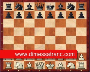 Satranç Danışmanlık Hizmeti - Dimes Hak   www.dimessatranc.com