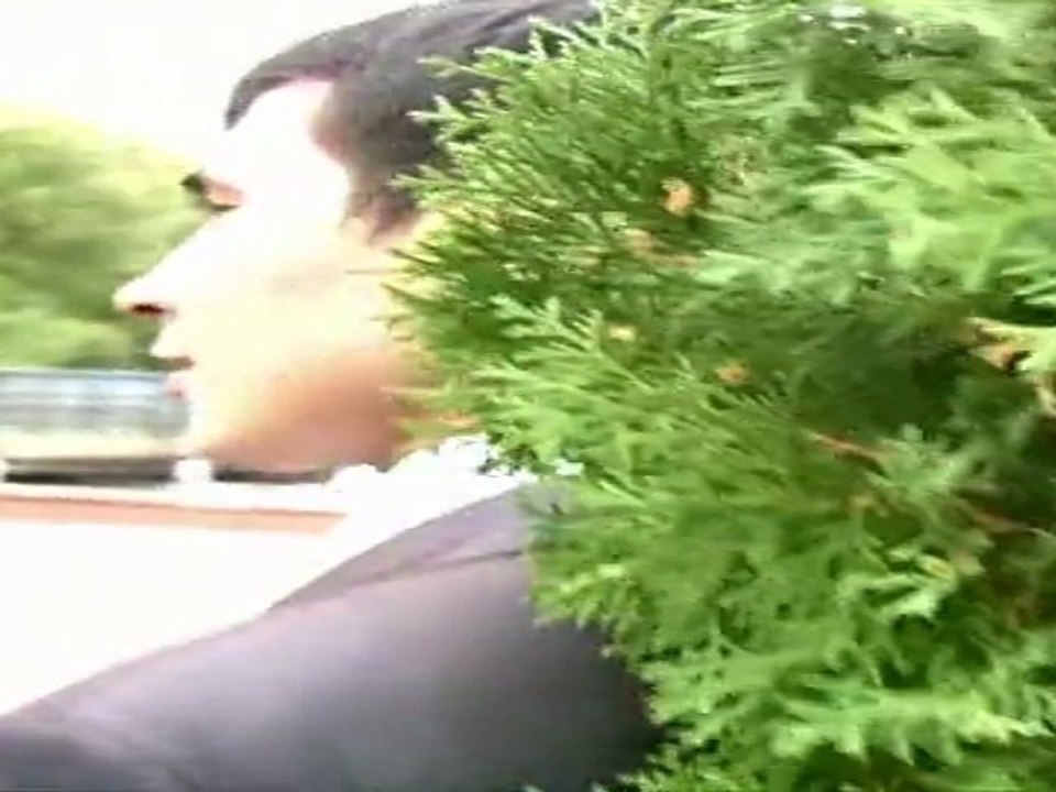 Свадебный клип