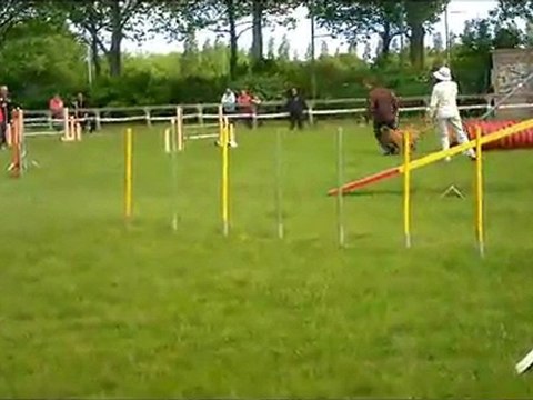 agility st brieuc exposition Damien et Djuna 8 mai 2011