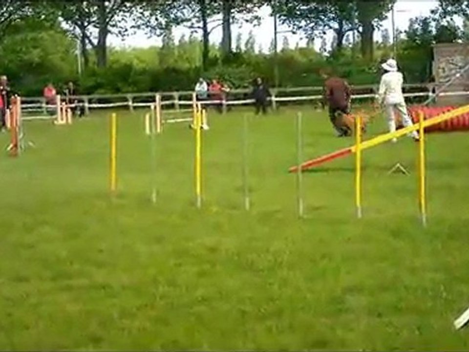 agility st brieuc exposition Damien et Djuna 8 mai 2011