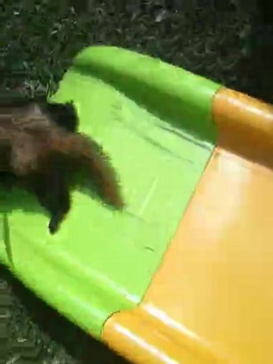 maki fait du tobogan