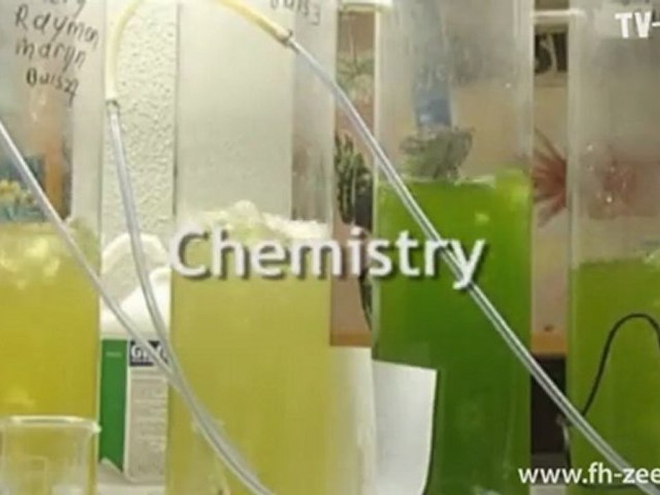 Studieren an der FH Zeeland