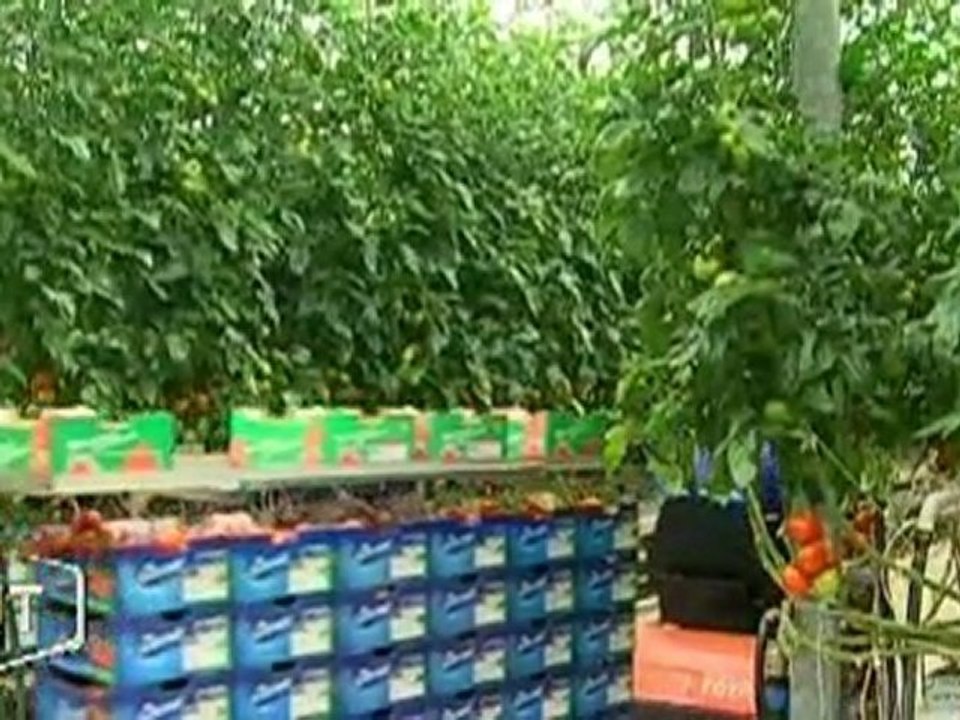 Les maraîchers inquiets pour la récolte 2011