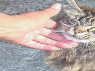 SABINA ŽAVCAR ljubezen na prvi pogled