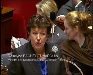 Question au Gouvernement du 10 janvier 2011
