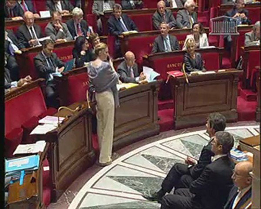 Question au Gouvernement du 11 mai 2011