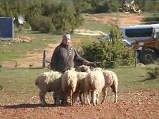 Leeora 3ème jour Serclerat