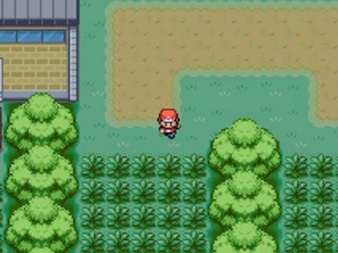 Pokémon Rouge Feu [ 2 ] Pierre qui roule n'aime pas la flotte