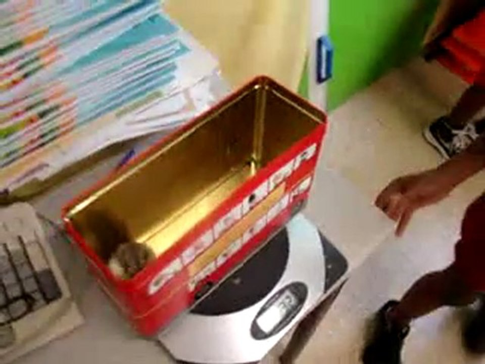 Pesée du hamster femelle