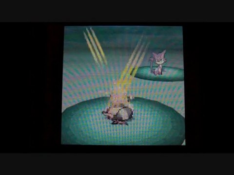 W.T Pokemon Blanc / 09 : La Foret de Plasma