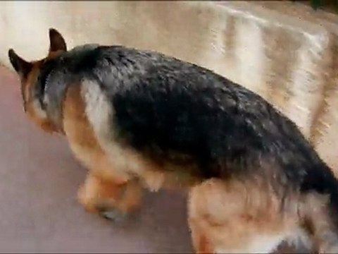 eros 1 mois demi cru